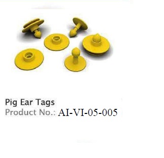 PIG EAR TAG